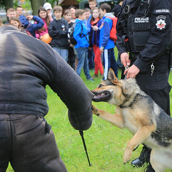 Policyjny gos profilaktyki. Happening zorganizowany przez policjantw, ktrzy do wsppracy zaprosili wiele instytucji. Zobacz film!