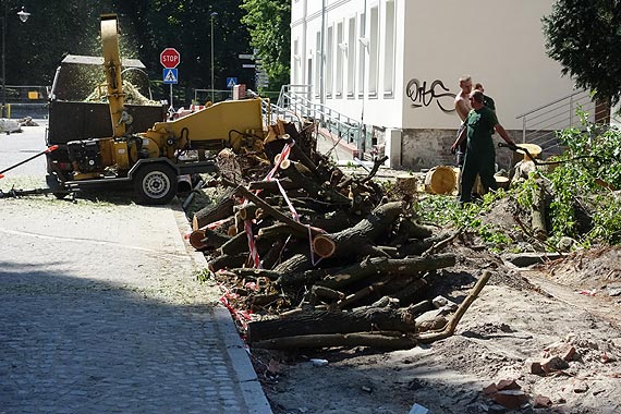 Zrobi nam z miasta pustyni?