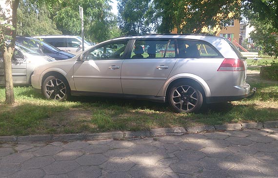 Rozkwitaj dzikie parkingi