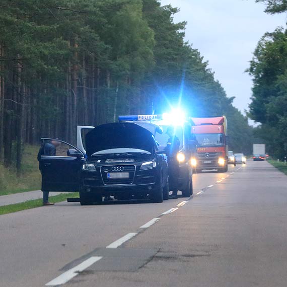 Zwia niemieckim subom, bo... ich nie zauway?