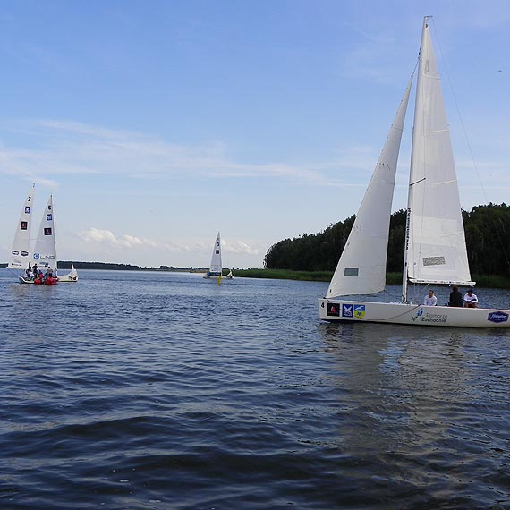 Dziwnw Match Race