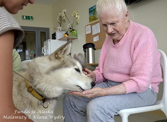 Pies w roli terapeuty – pomoc dla osb z chorob Alzheimera