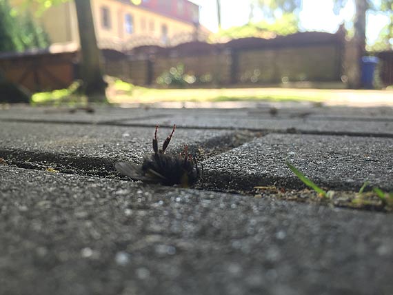 To ju wyglda na ekologiczn katastrof! 