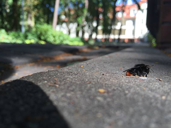 To ju wyglda na ekologiczn katastrof! 