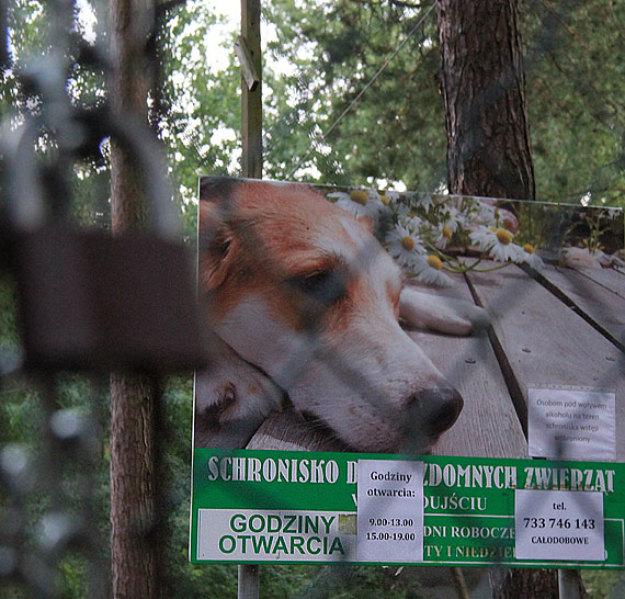 Dramatyczne sceny w schronisku! Stowarzyszenie Your Choice przejo kontrol nad obiektem! Zobacz film!