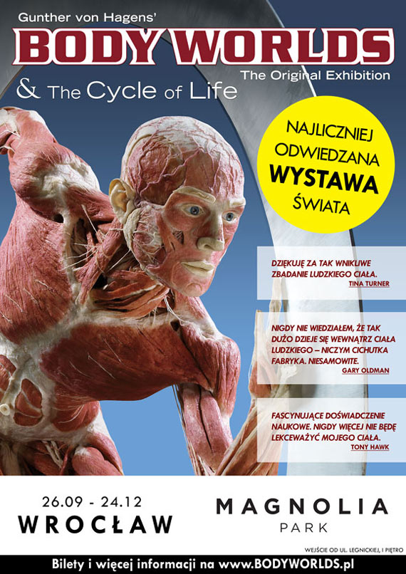 BODY WORLDS - najliczniej odwiedzana wystawa wiata tylko przez 3 miesice we Wrocawiu! 