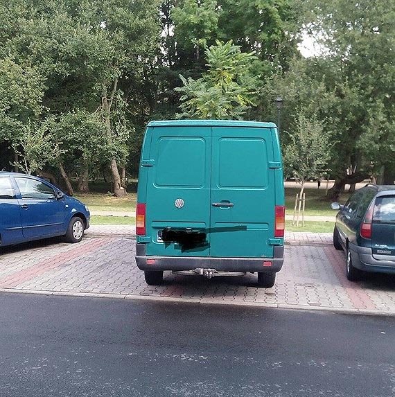 Ja tu parkuj! Reszta niech si mczy!