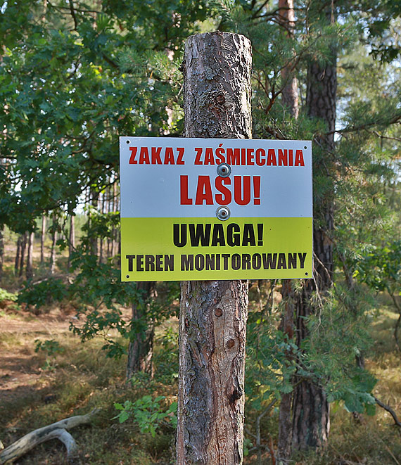 winoujcie wita... spalonym wrakiem samochodu. Przestroga czy lenistwo?