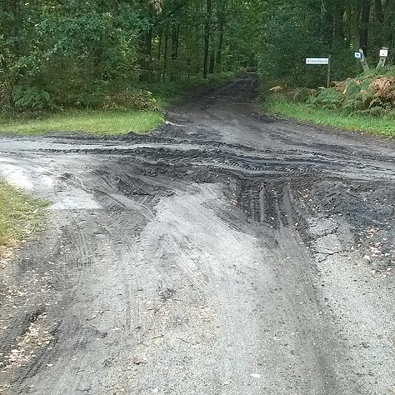 Czytelnik: Mieszkam w winoujciu. Nie w lesie czy na bagnach!