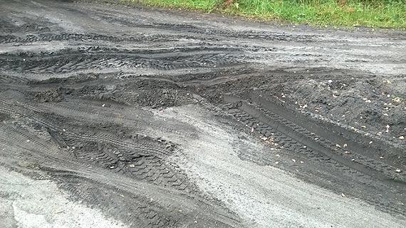 Czytelnik: Mieszkam w winoujciu. Nie w lesie czy na bagnach!