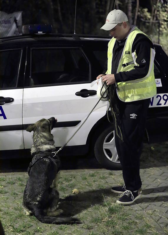 Zaginiona dziewczyna odnaleziona w lesie! Caa i zdrowa trafia do rodzicw. Zobacz film!