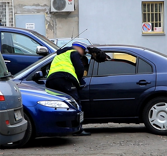 Pies prawie pogryz policjanta. Zobacz jak niebezpieczna jest ich praca!