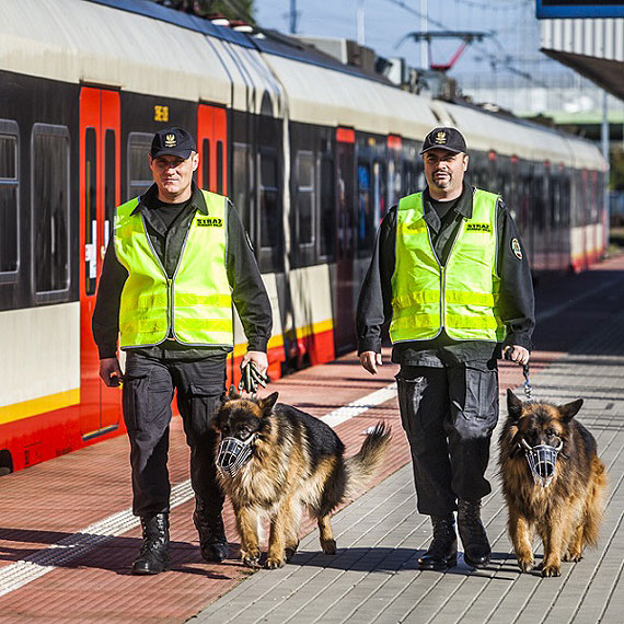 Jeszcze wicej patroli SOK na wita. Od rody rusza wielka akcja prewencyjna