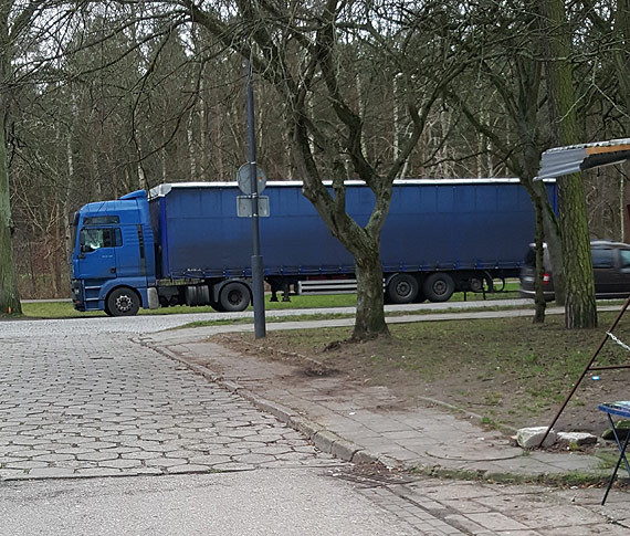 Czytelnik: Zrbcie co z tym! Cignik siodowy blokuje nam miejsca parkingowe!