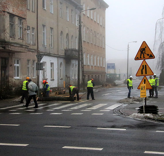 Czytelnik: Eksterminacja drzew trwa... Nie chc y w betonie!