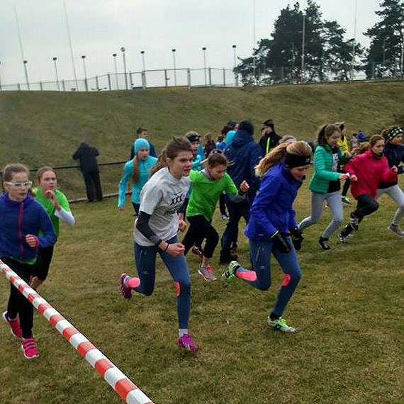 Mistrzostwa Wojewdztwa w biegach przeajowych