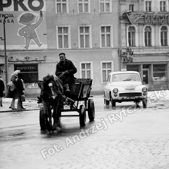 Poznaj histori jednego kocioka!