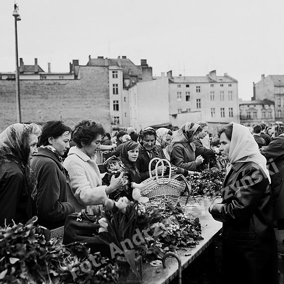 Poznaj histori jednego kocioka!