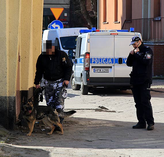 Do poszukiwa sprawcy napadu na bank, policjanci wczyli psa tropicego!