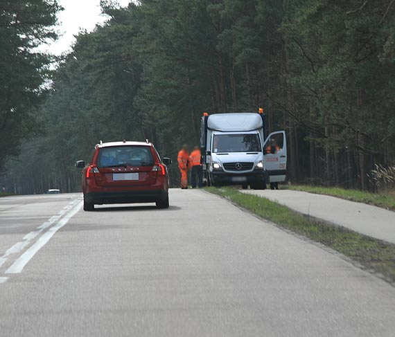 Na Karsiborskiej potrci dzika! Kierowcy, uwaajcie na wybiegajc zwierzyn!