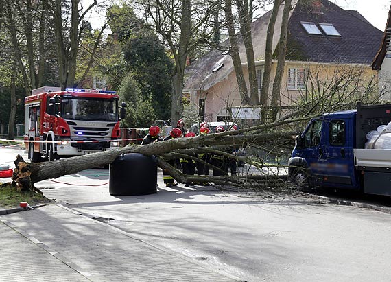 Lepiej nie parkuj samochodu pod drzewami! Jutro od rana prognozowane s burze i wiatr wiejcy z prdkoci nawet do 80km/h!