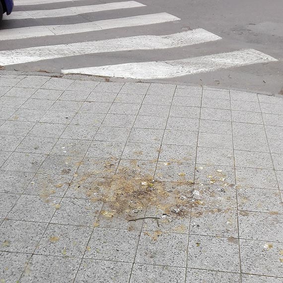 Turyci tego nie zauwa?