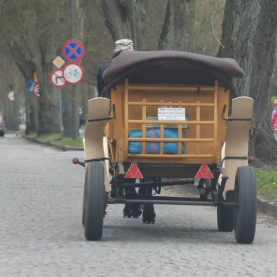 Bryczki nie pojad w las