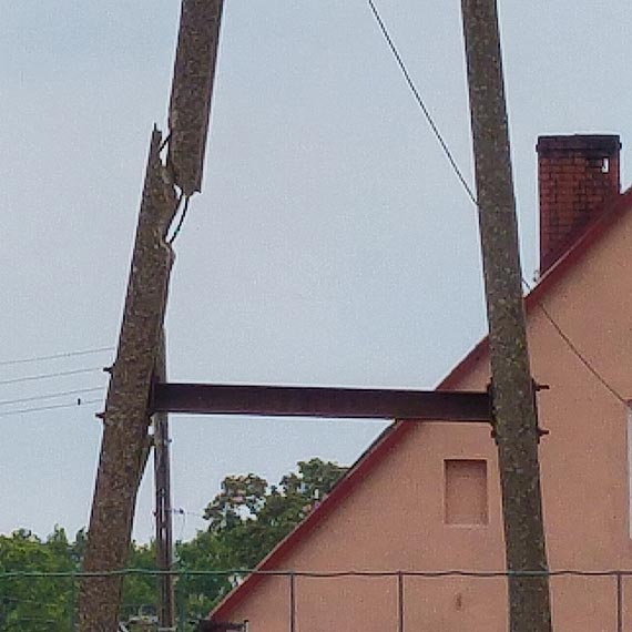 Sup z lini energetyczn grozi zawaleniem. Mieszkanka ssiedniej posesji obawia si o ycie
