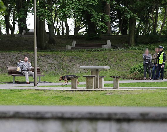 Z flag ameryki bieg po wolno! Przez ponad godzin policjanci wraz z hyclem i wacicielk, prbowali zapa psa!