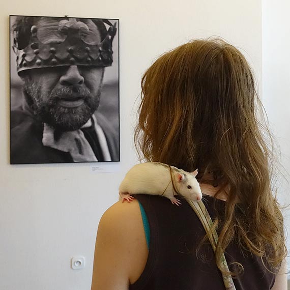 Fotografie Zdzisawa Pacholskiego moemy oglda w Miejscu Sztuki 44