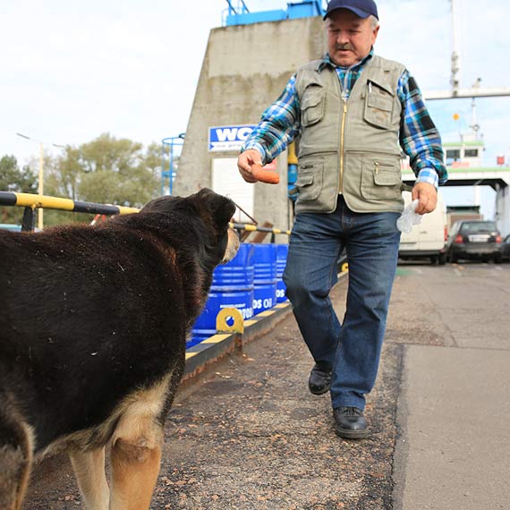 O Bolku musz zadecydowa radni. Potrzebny jest wniosek obywatelski