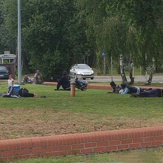 Tajemnicze zniknięcie koczowników. Zatrzymali się u nas w drodze do Szwecji