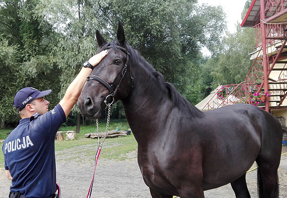 Karmel- nowy ko zasili szeregi zachodniopomorskiej policji