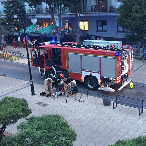 Osy zamieszkay w dzielnicy nadmorskiej!