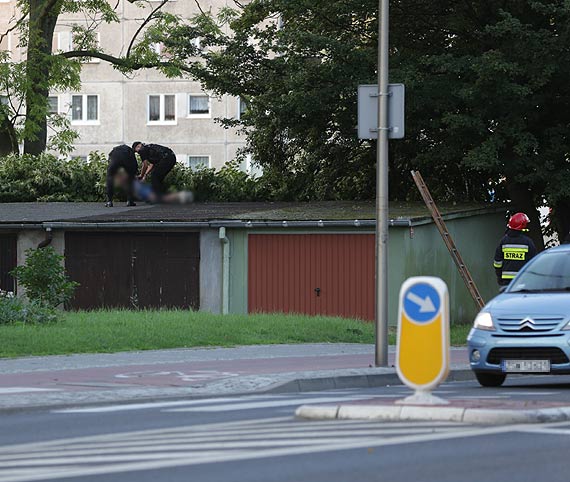 Chciaa zrobi sobie krzywd skaczc z drzewa? Kobiet siedzc na gazi do zejcia przekonali policjanci