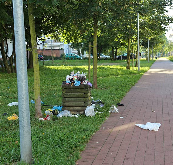 Pojawiam si i znikam... - czyli gdzie podziay si mietniki na Platanie?