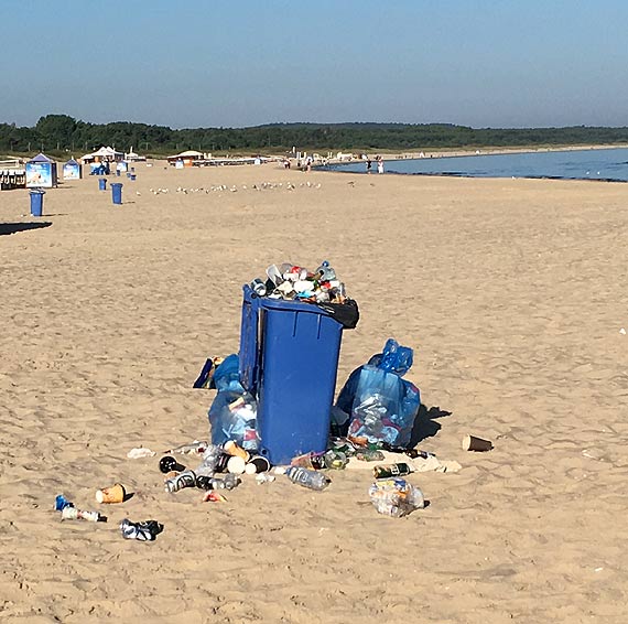 Kierownik Kpieliska o przepenionym mietniku