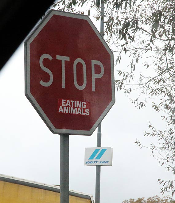 Oglnowiatowa akcja „STOP eating animals” dotara do winoujcia!