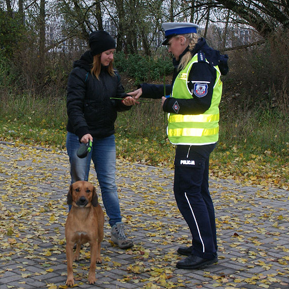 Trzewo i odblaskowo w Szczecinie