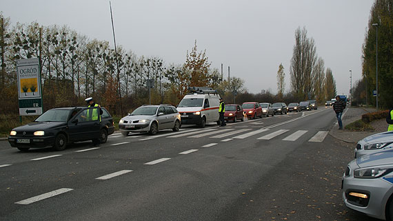 Trzewo i odblaskowo w Szczecinie