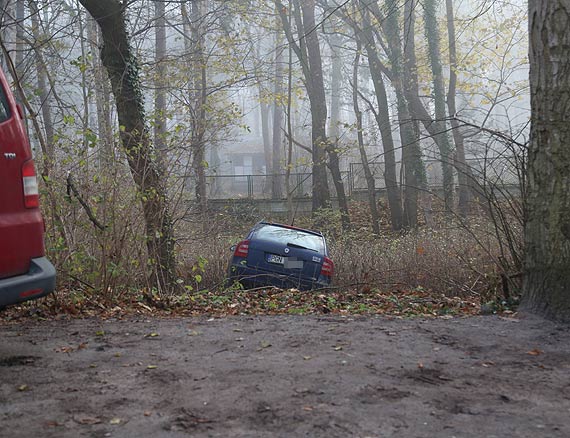 Parkuj na zakazie i kocz w lesie... 