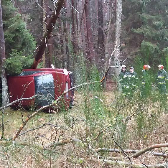 Na trasie Parwko - Wysoka Kamieska mieszkanka winoujcia uderzya w drzewo. Dwoje dzieci w szpitalu