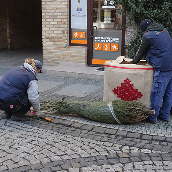 Nowe witeczne ozdoby. Za 56 choinek miasto zapacio 14 tysicy zotych