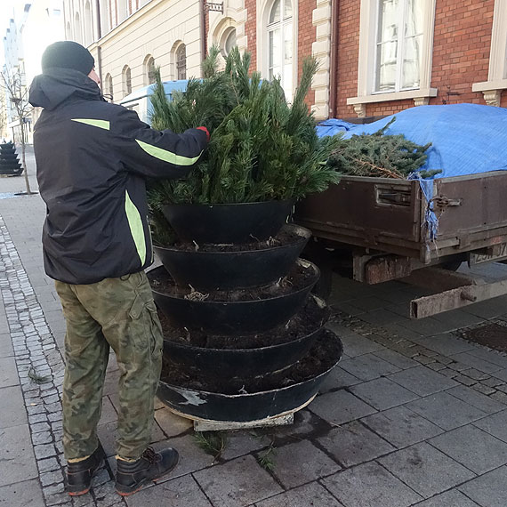 Nowe witeczne ozdoby. Za 56 choinek miasto zapacio 14 tysicy zotych