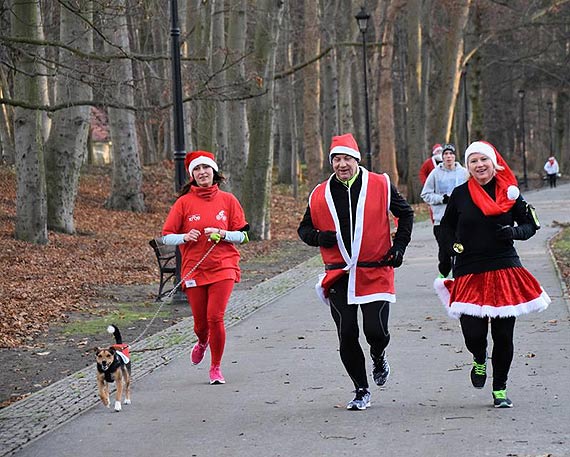 72 osoby stany na starcie 21. biegu parkrun