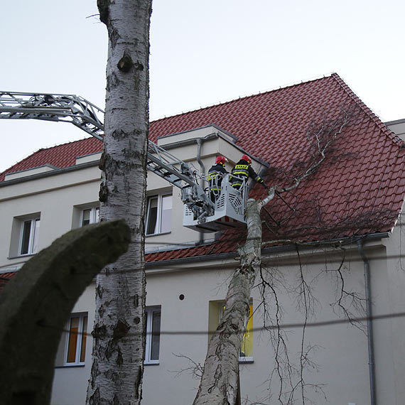 Drzewo spado na budynek przy ulicy Kapitaskiej! Zobacz film!