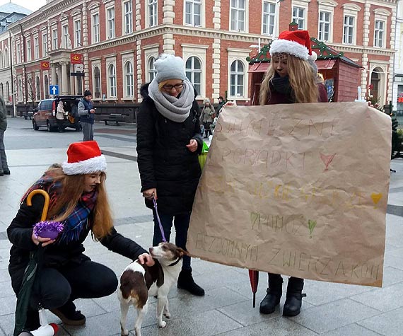 Modzie zbieraa pienidze na prezenty dla bezdomnych zwierzt!