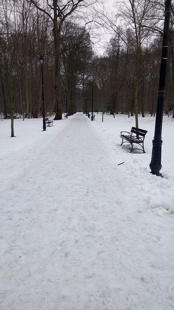 Wyciągajcie łyżwy! ”Szklanka” na chodnikach w całym mieście!