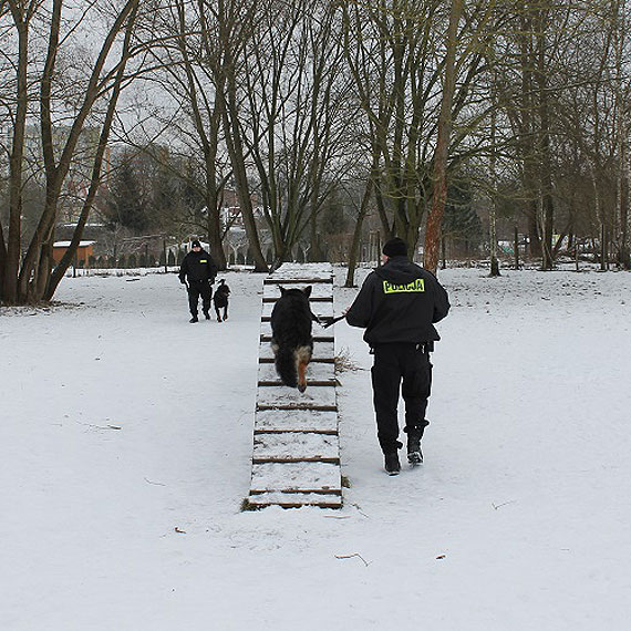 Dzie szkoleniowy czworononych funkcjonariuszy szczeciskiej Policji