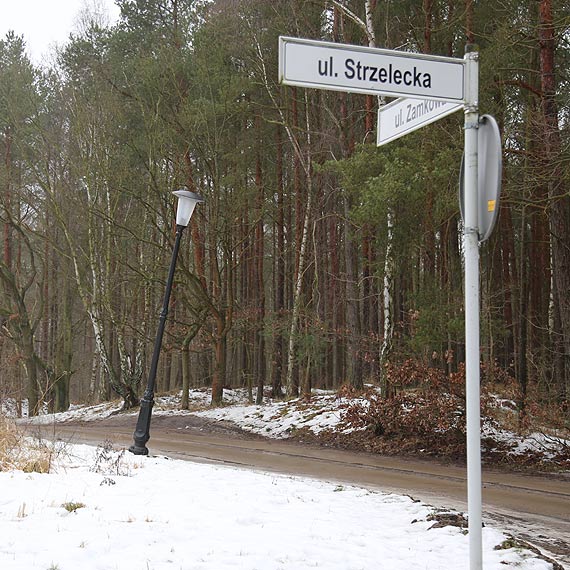 Pijany kierowca rozbija wszystko co napotka na swojej drodze! Uderzy w znak drogowy, latarnie uliczne i inne pojazdy. Na kocu prawie wjecha do McDonald's!
